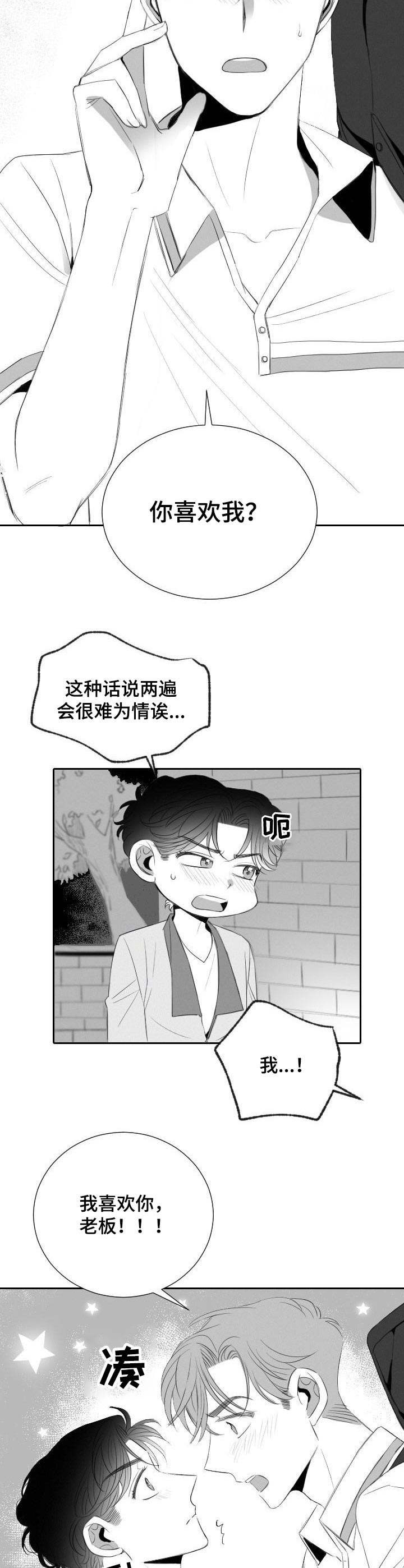 《彗星出租店》漫画最新章节第23章：表白免费下拉式在线观看章节第【8】张图片