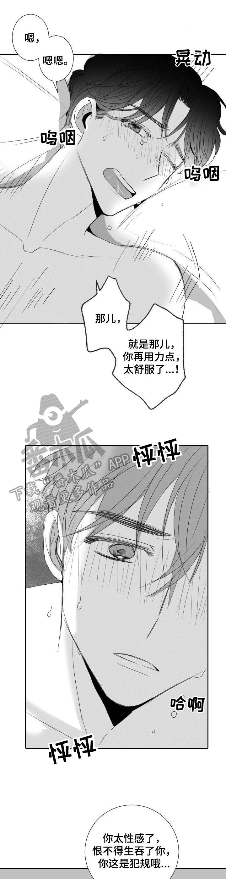 《彗星出租店》漫画最新章节第29章：不用克制免费下拉式在线观看章节第【3】张图片