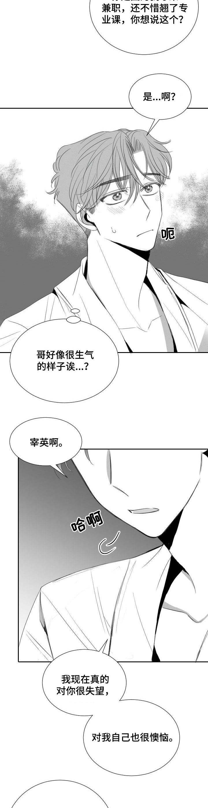 《彗星出租店》漫画最新章节第31章：分歧免费下拉式在线观看章节第【13】张图片