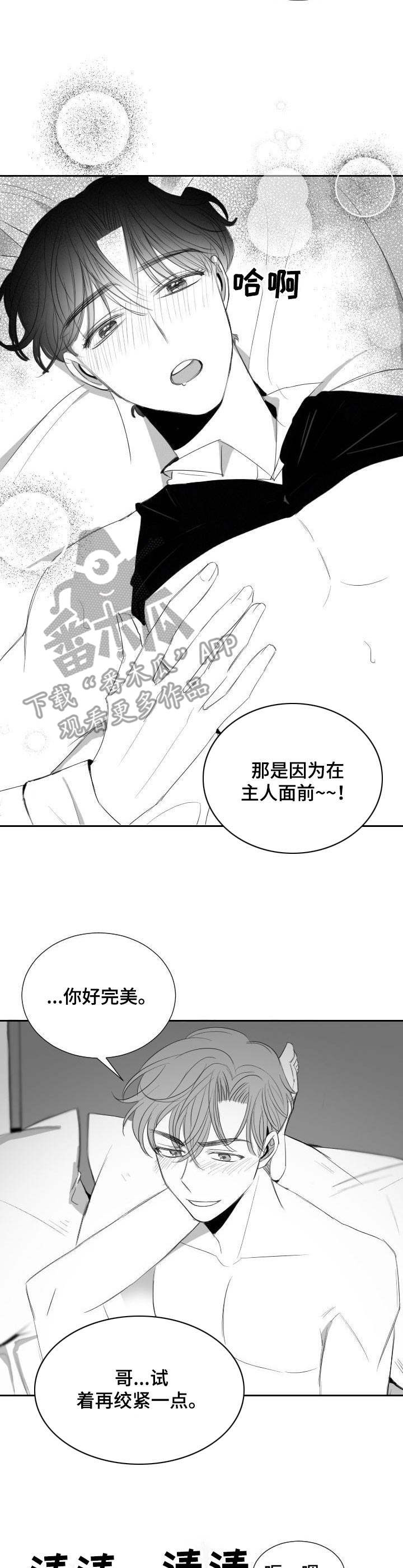 《彗星出租店》漫画最新章节第36章：甜蜜恋爱免费下拉式在线观看章节第【9】张图片