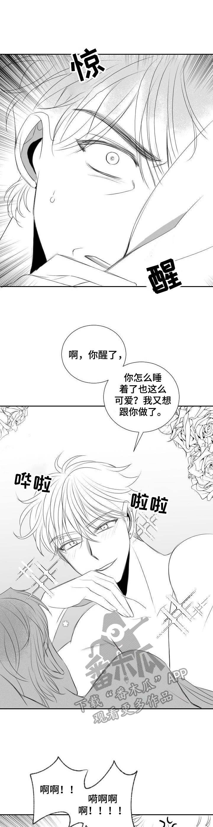 《彗星出租店》漫画最新章节第40章：遵循本心免费下拉式在线观看章节第【5】张图片