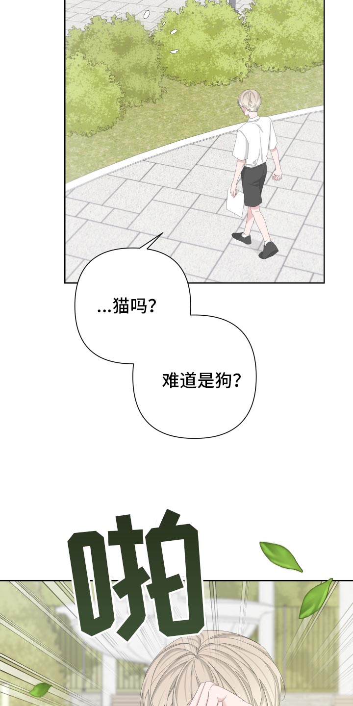 《Bedeuro》漫画最新章节第125章：【第二季】旅行者免费下拉式在线观看章节第【16】张图片