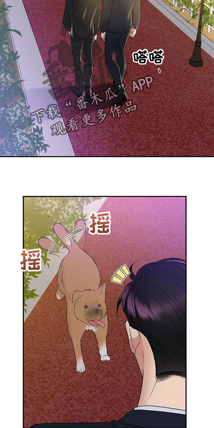 《逆攻》漫画最新章节第73章：仔细点养免费下拉式在线观看章节第【11】张图片