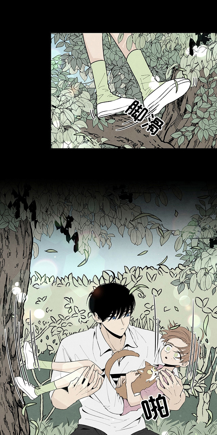 《丹尼尔与黑帮》漫画最新章节第102章：爸爸免费下拉式在线观看章节第【18】张图片