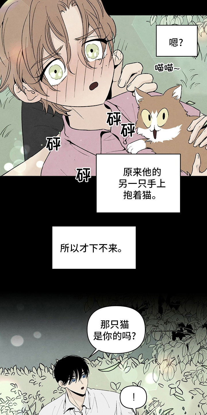 《丹尼尔与黑帮》漫画最新章节第102章：爸爸免费下拉式在线观看章节第【16】张图片