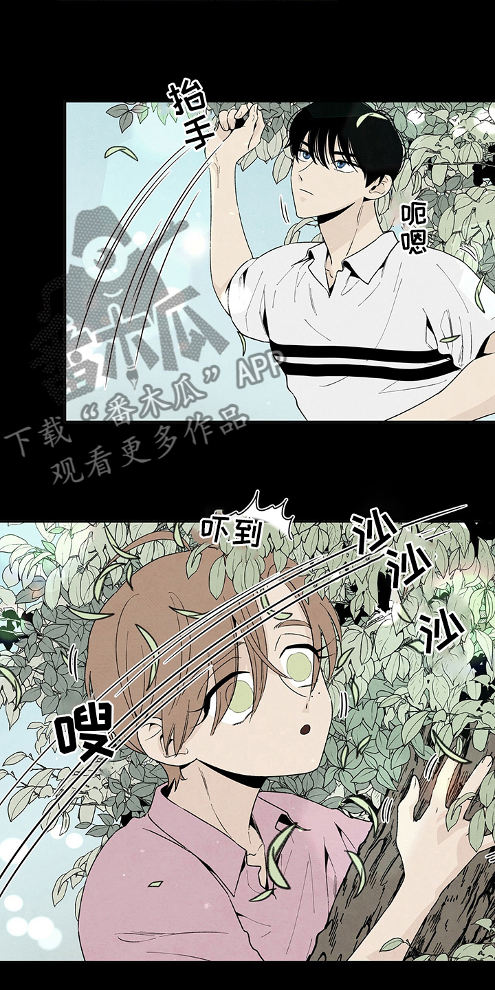 《丹尼尔与黑帮》漫画最新章节第102章：爸爸免费下拉式在线观看章节第【19】张图片