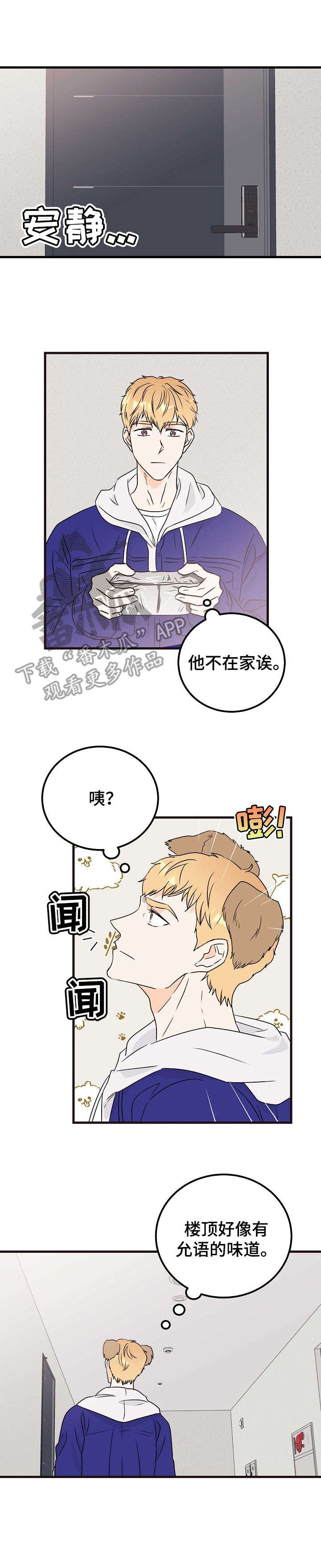 《天堂门票》漫画最新章节第19章：流浪狗免费下拉式在线观看章节第【11】张图片