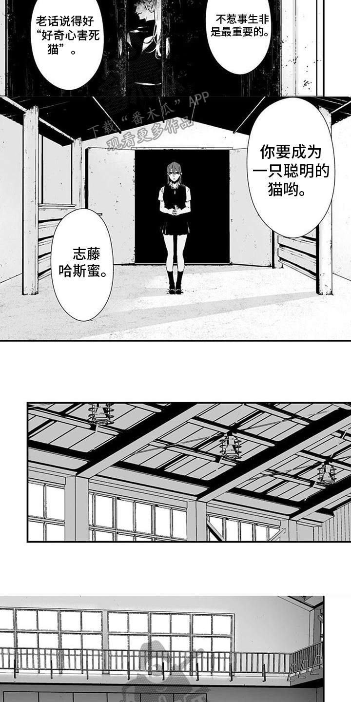 《未知性别》漫画最新章节第33章：聪明的猫免费下拉式在线观看章节第【4】张图片