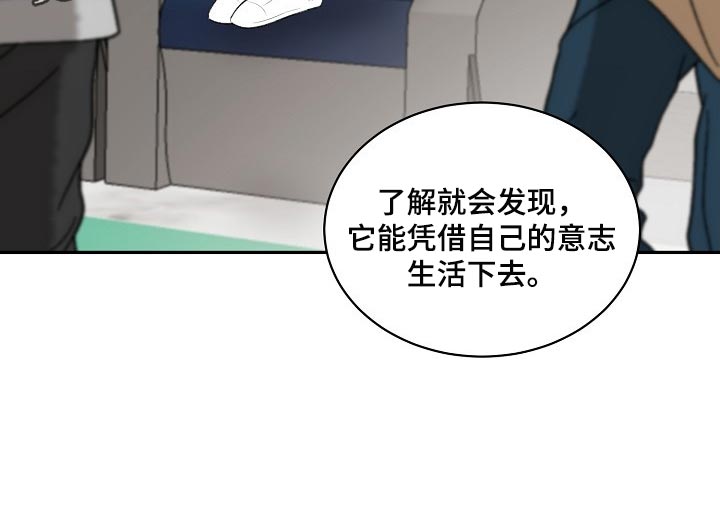 《老板不可以》漫画最新章节第86章：【第二季】有缺陷的人免费下拉式在线观看章节第【1】张图片