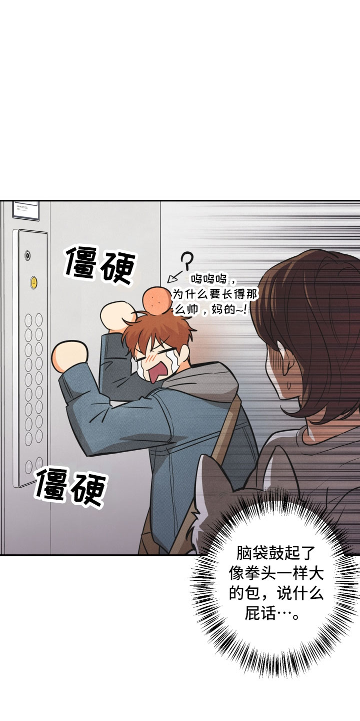 《玩偶攻略》漫画最新章节第1章：告白免费下拉式在线观看章节第【15】张图片