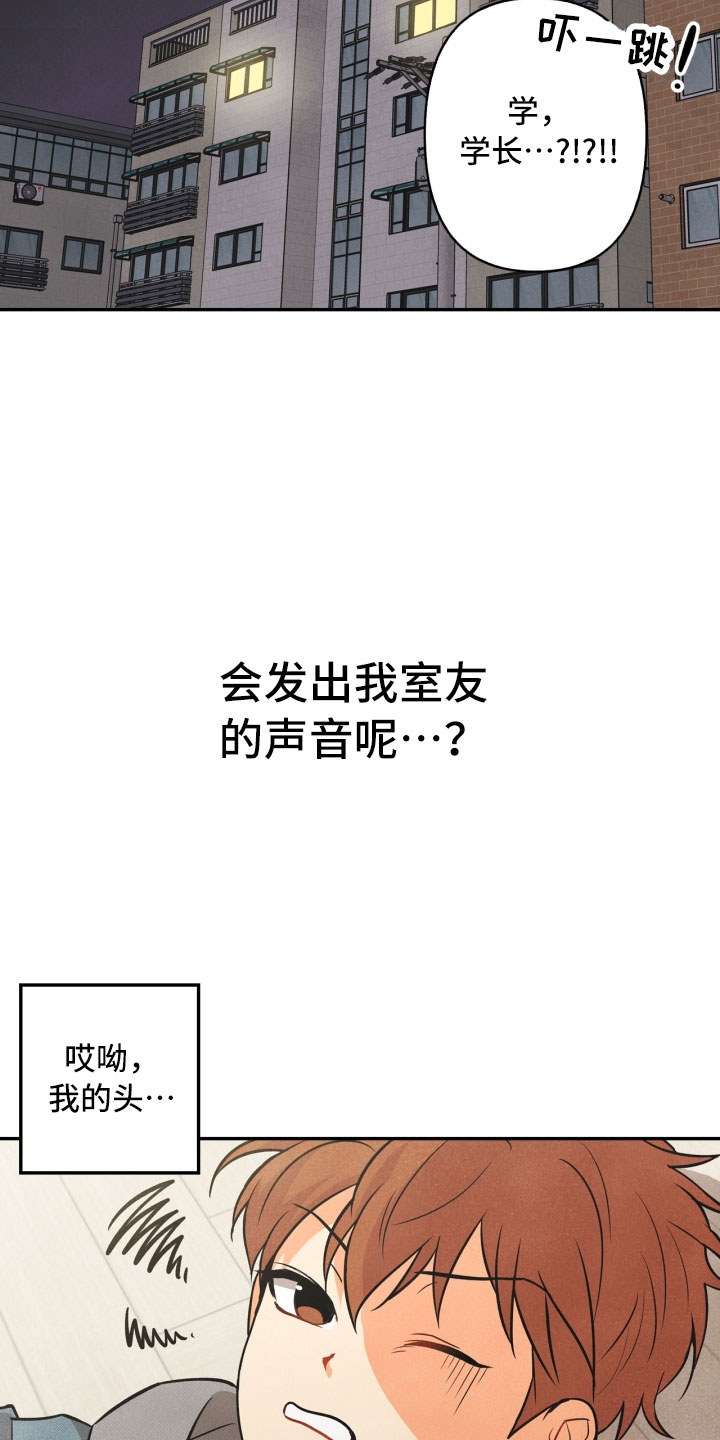 《玩偶攻略》漫画最新章节第3章：奇怪的布偶免费下拉式在线观看章节第【6】张图片