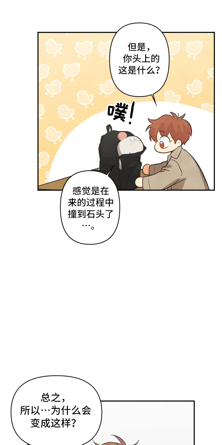 《玩偶攻略》漫画最新章节第6章：不知所措免费下拉式在线观看章节第【6】张图片