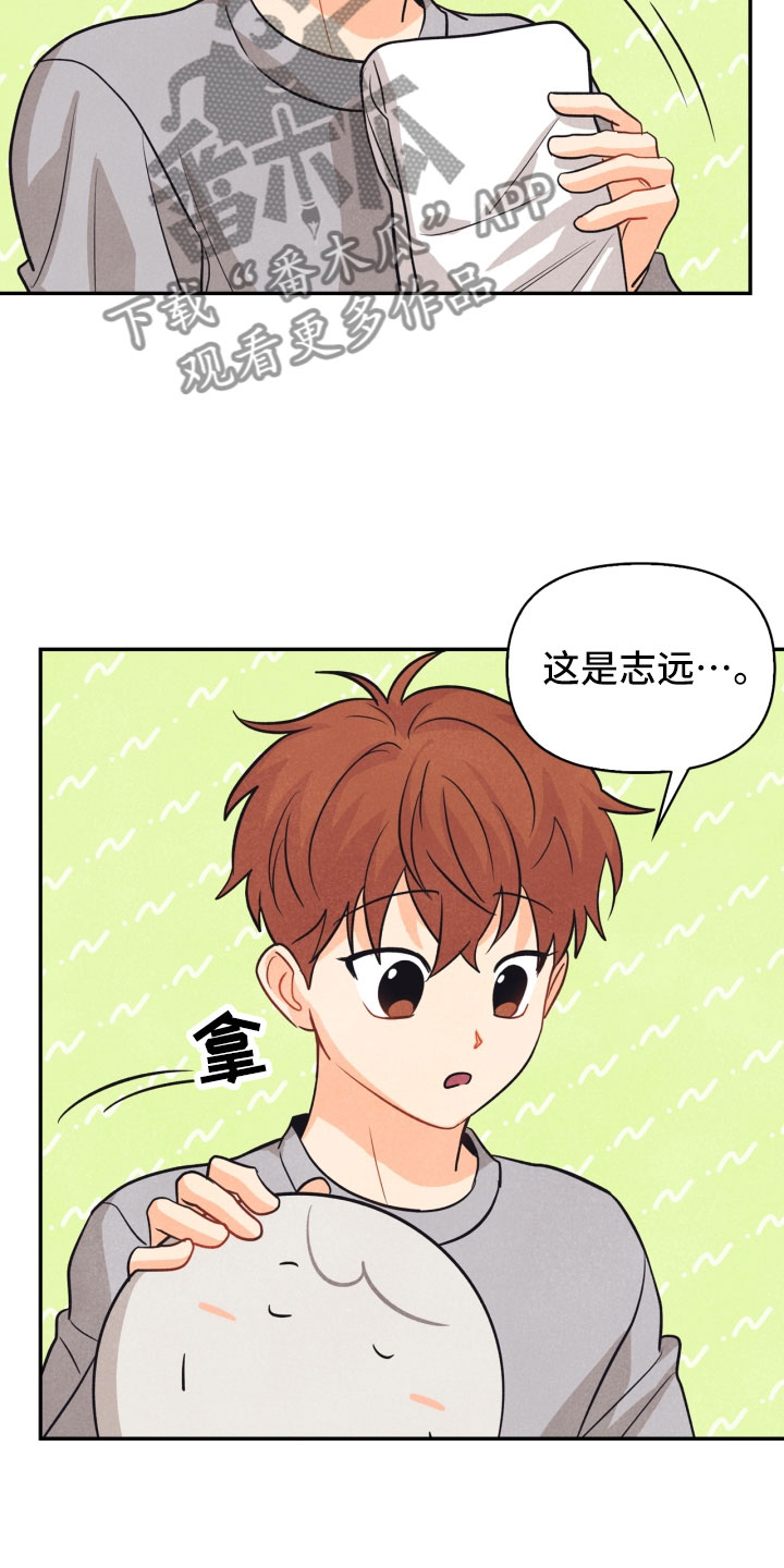 《玩偶攻略》漫画最新章节第22章：行李箱免费下拉式在线观看章节第【3】张图片