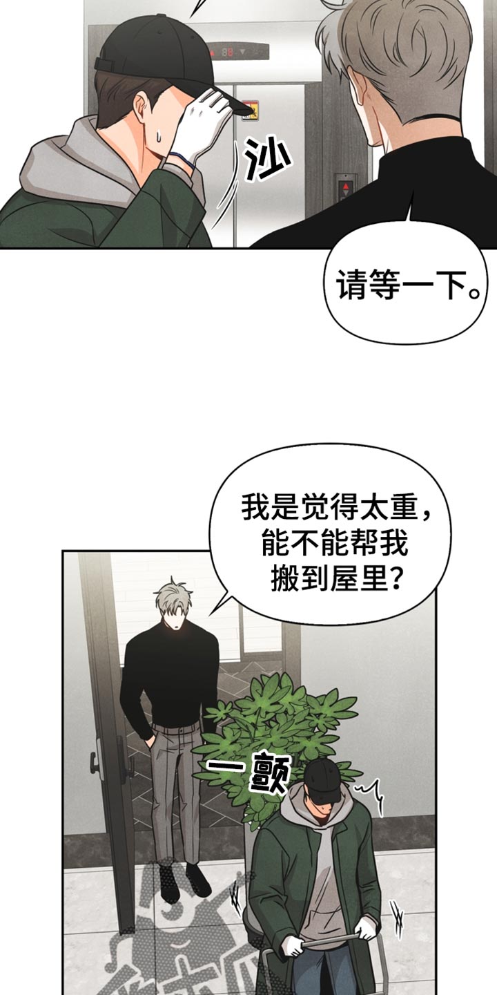 《玩偶攻略》漫画最新章节第38章：反语免费下拉式在线观看章节第【5】张图片