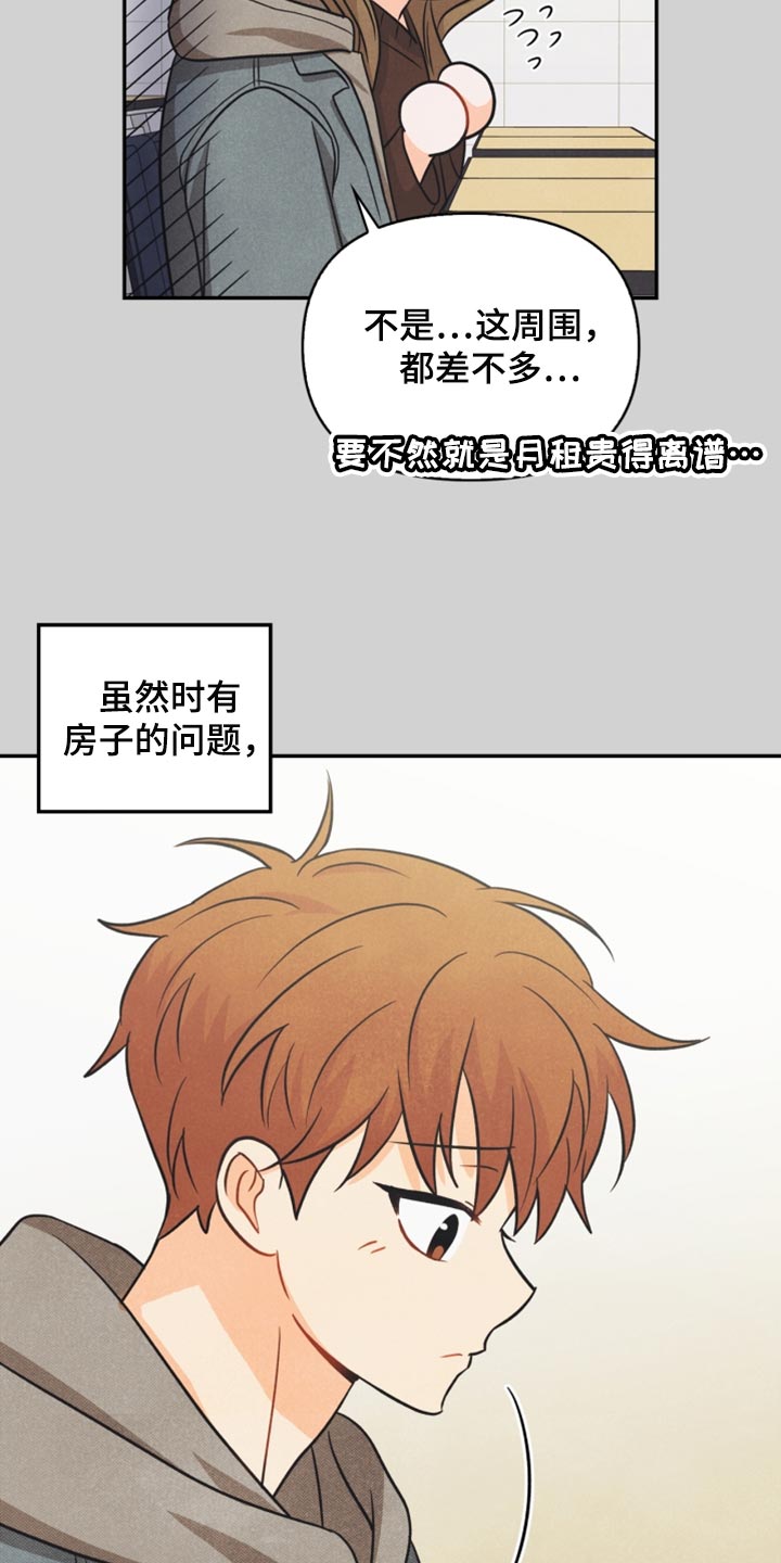 《玩偶攻略》漫画最新章节第41章：转机免费下拉式在线观看章节第【7】张图片