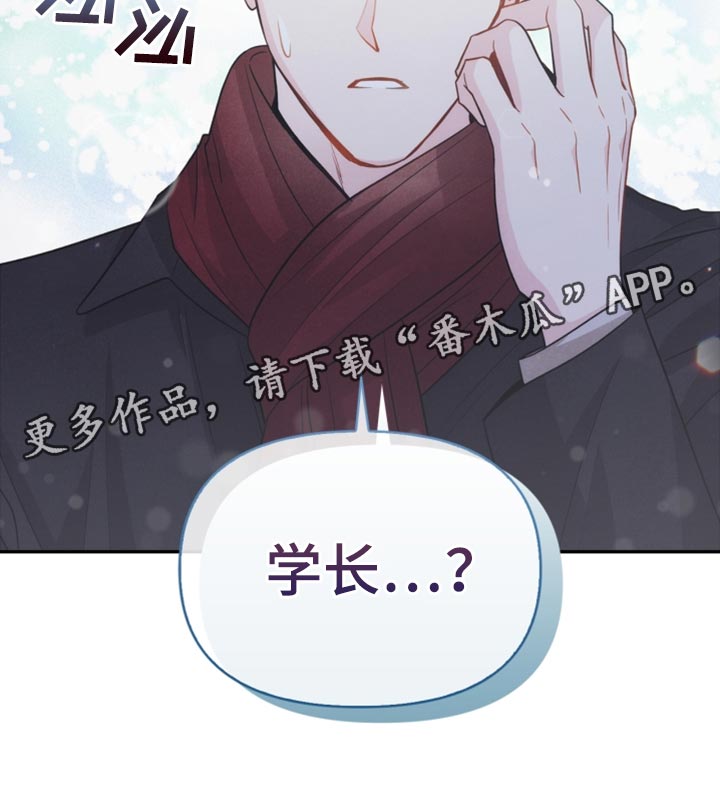 《玩偶攻略》漫画最新章节第54章：表白免费下拉式在线观看章节第【1】张图片