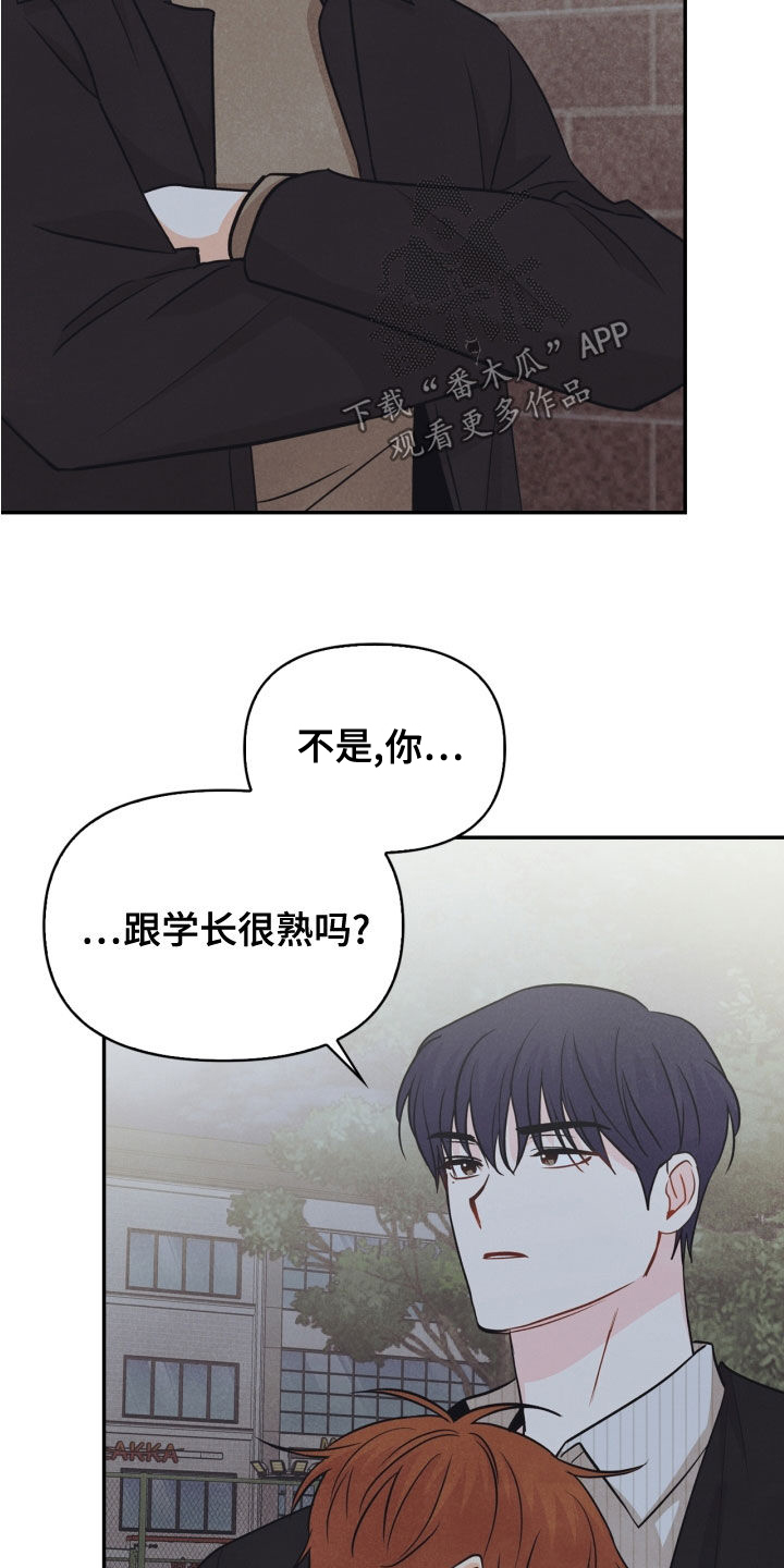 《玩偶攻略》漫画最新章节第69章：【番外】路上小心免费下拉式在线观看章节第【5】张图片