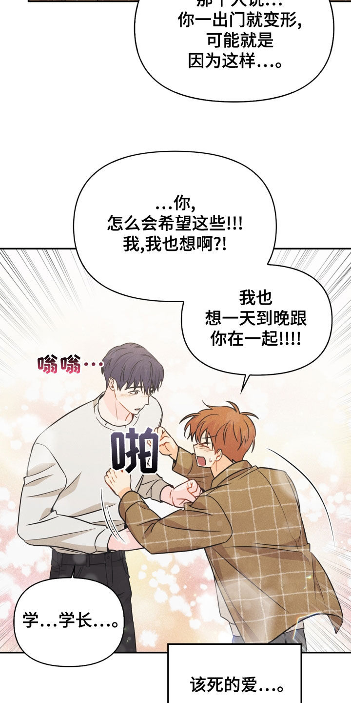 《玩偶攻略》漫画最新章节第71章：【番外】该死的爱免费下拉式在线观看章节第【13】张图片