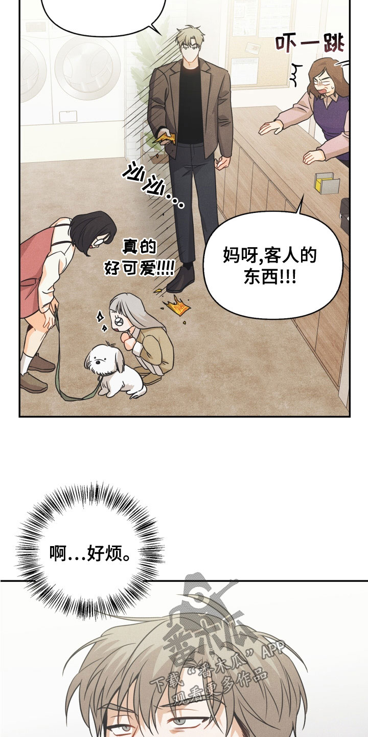 《玩偶攻略》漫画最新章节第77章：【番外】不可以免费下拉式在线观看章节第【20】张图片