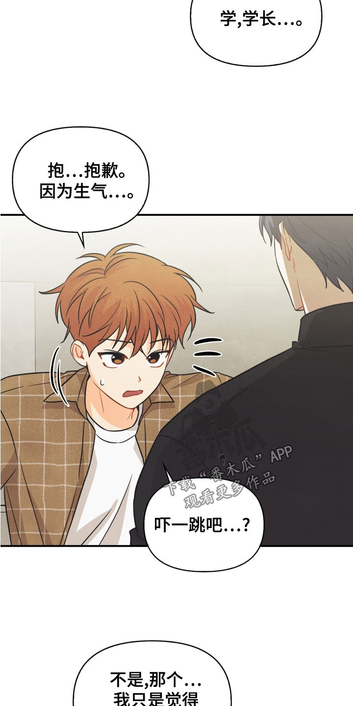 《玩偶攻略》漫画最新章节第78章：免费下拉式在线观看章节第【8】张图片