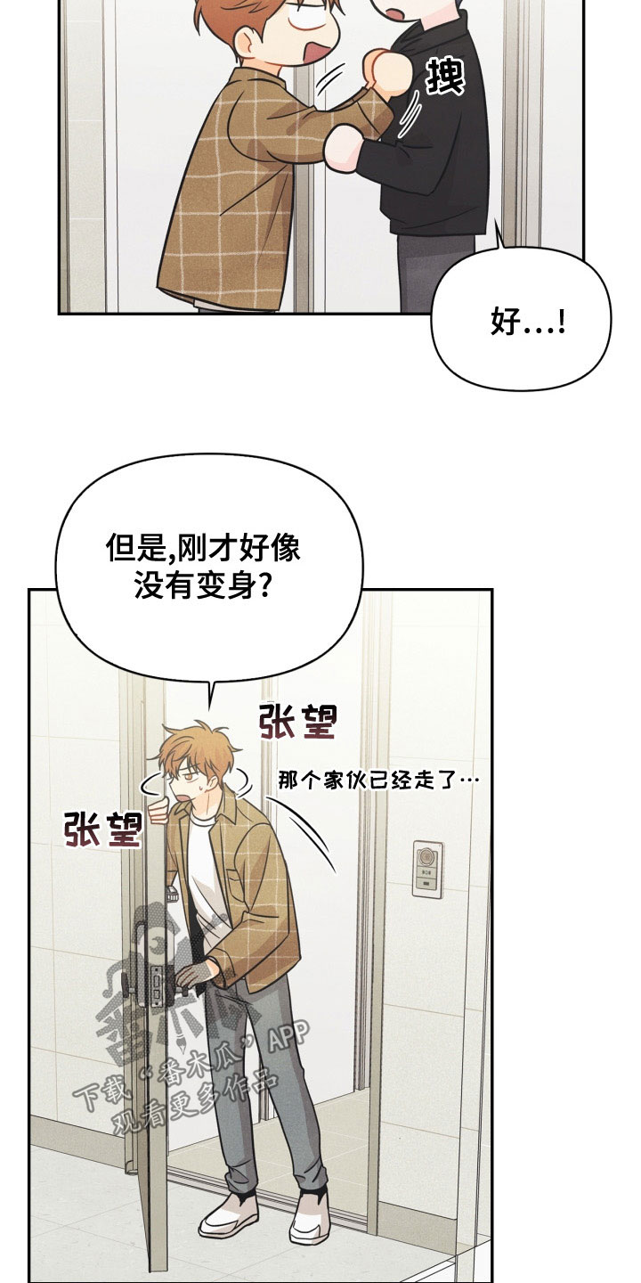 《玩偶攻略》漫画最新章节第78章：【番外】发飙免费下拉式在线观看章节第【6】张图片