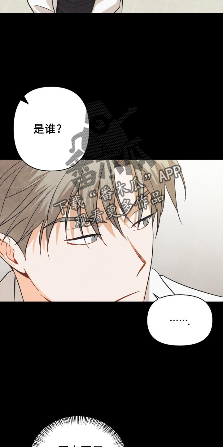 《玩偶攻略》漫画最新章节第88章：【番外】混乱免费下拉式在线观看章节第【5】张图片