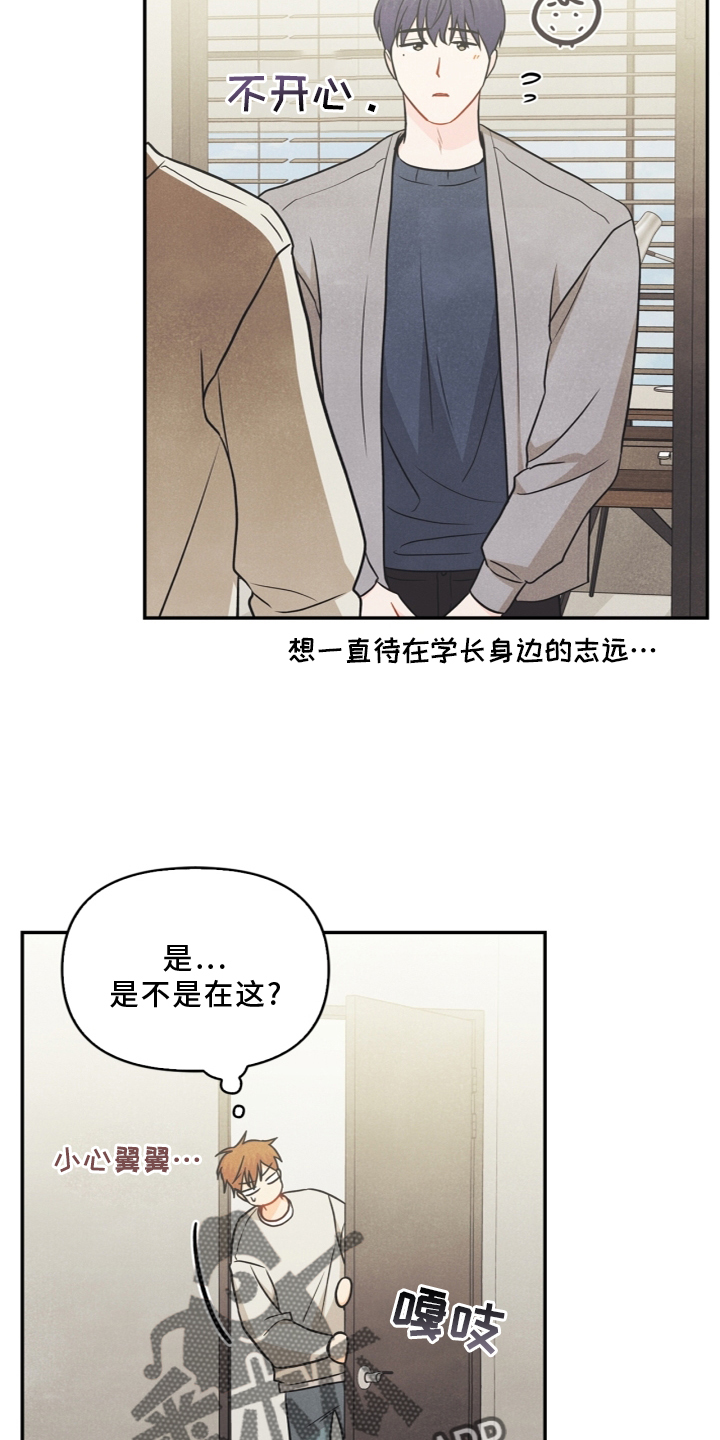 《玩偶攻略》漫画最新章节第95章：【番外】哥哥免费下拉式在线观看章节第【12】张图片