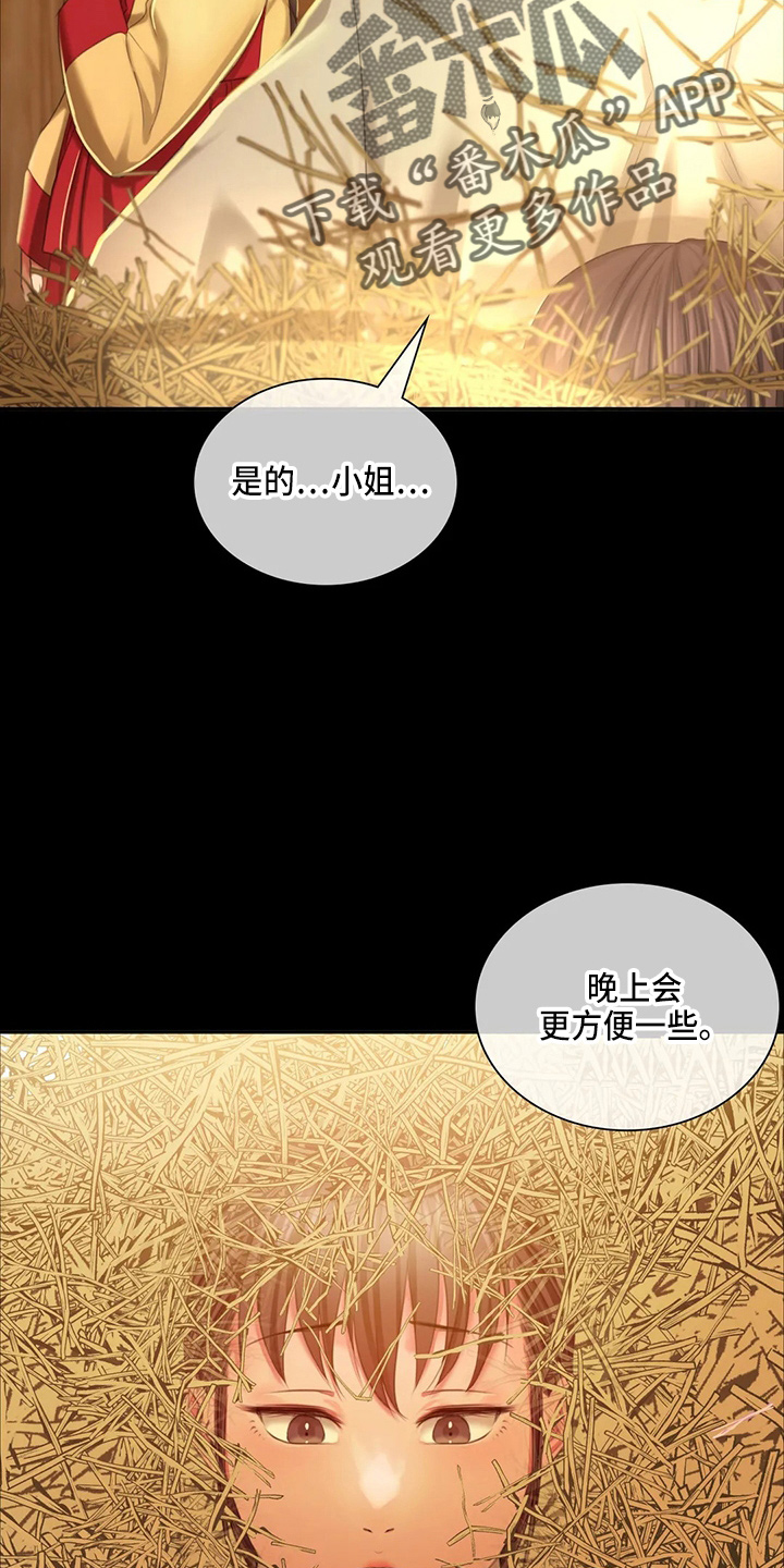 《忠仆石头》漫画最新章节第50章：查看免费下拉式在线观看章节第【19】张图片