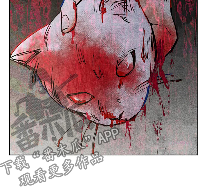 《凝视R》漫画最新章节第46章：攻击性免费下拉式在线观看章节第【3】张图片