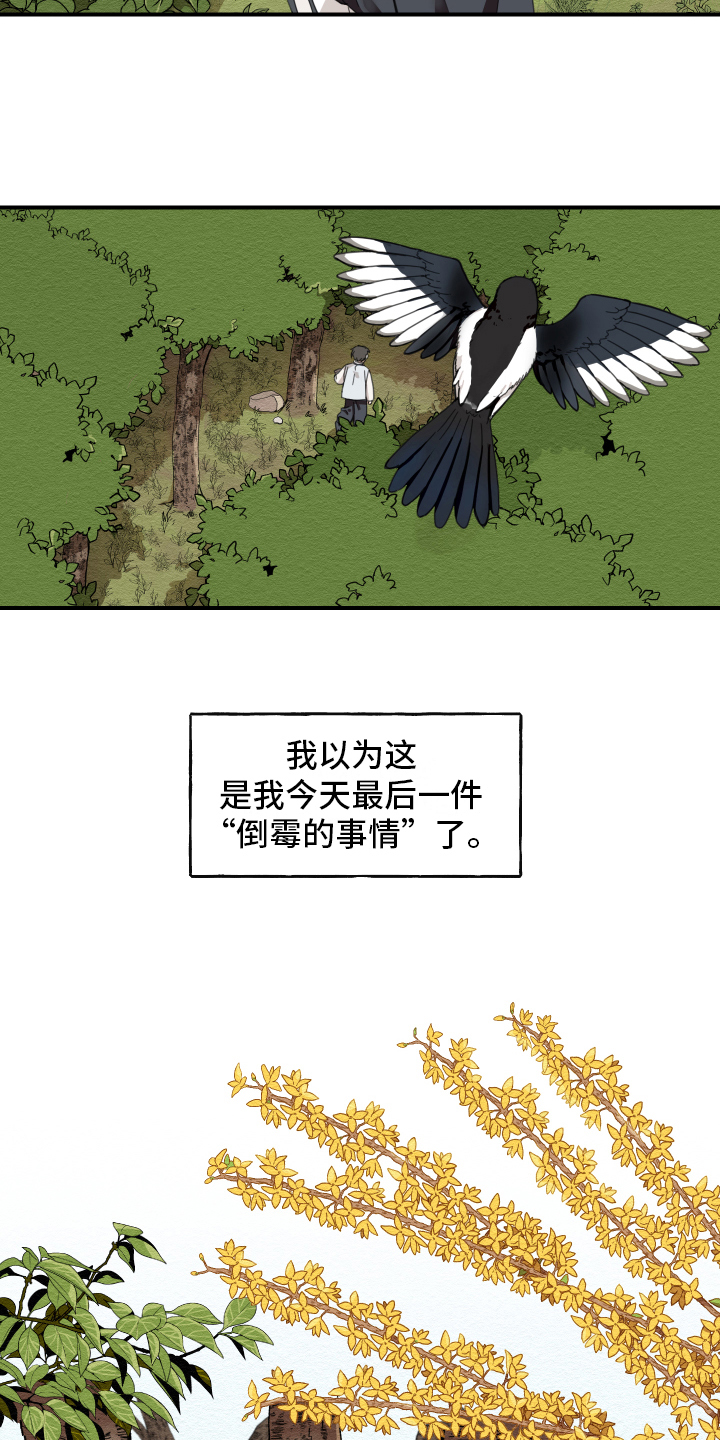 《砚与龙》漫画最新章节第1章：小心翼翼免费下拉式在线观看章节第【4】张图片