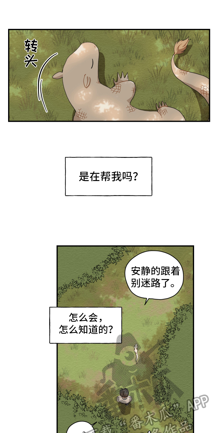 《砚与龙》漫画最新章节第4章：龙免费下拉式在线观看章节第【10】张图片