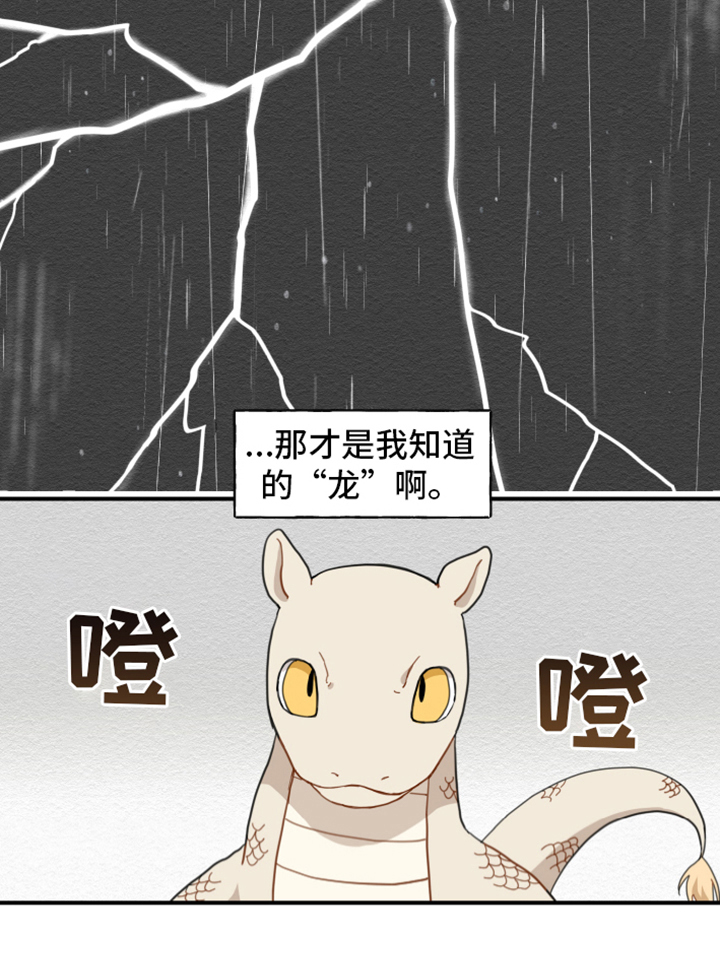 《砚与龙》漫画最新章节第4章：龙免费下拉式在线观看章节第【1】张图片