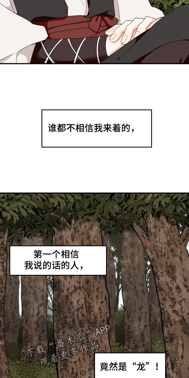 《砚与龙》漫画最新章节第20章：龙罚免费下拉式在线观看章节第【14】张图片