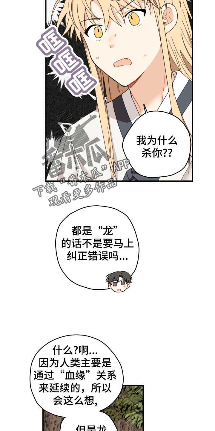 《砚与龙》漫画最新章节第20章：龙罚免费下拉式在线观看章节第【19】张图片