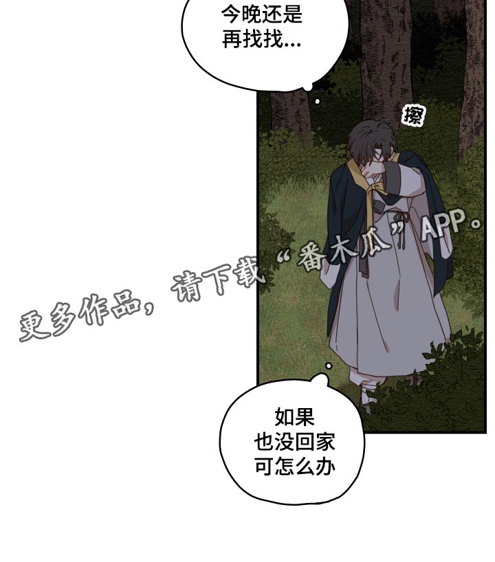 《砚与龙》漫画最新章节第22章：寻找免费下拉式在线观看章节第【5】张图片