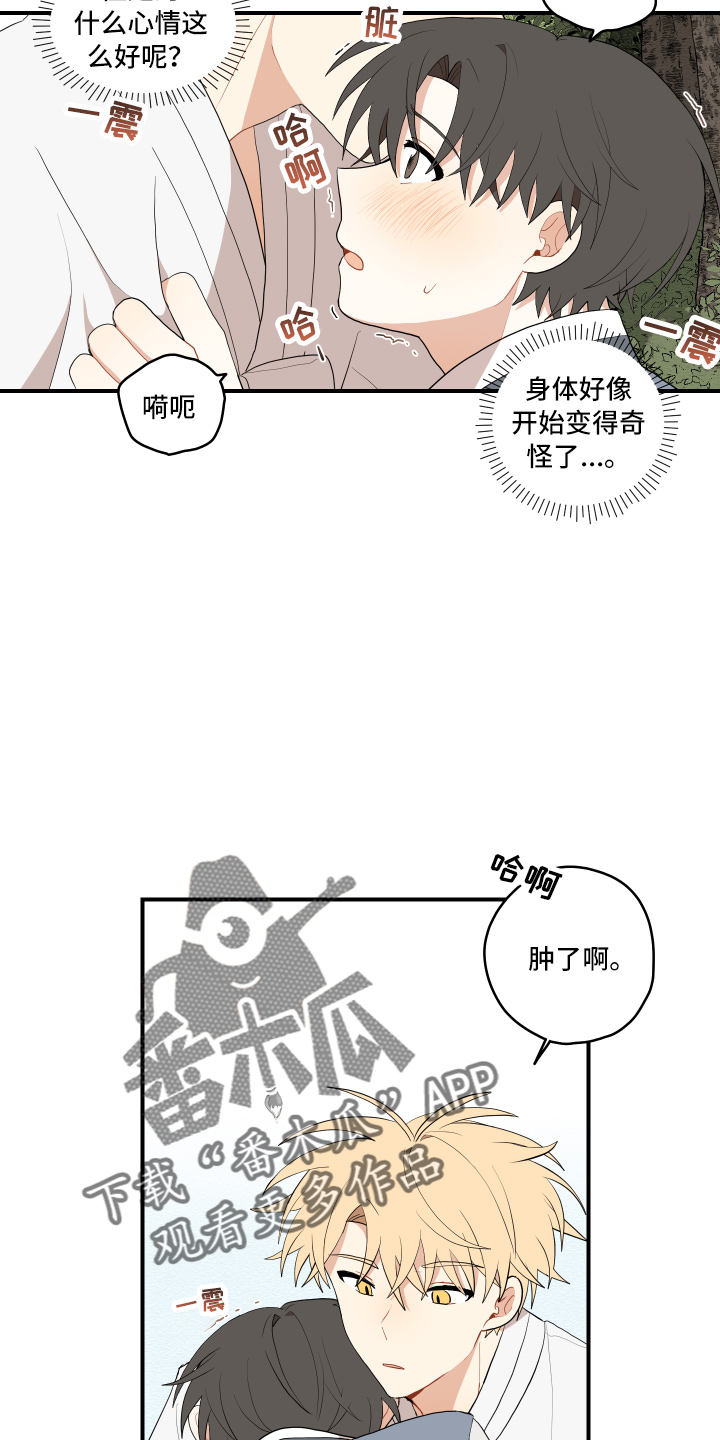 《砚与龙》漫画最新章节第40章：变熟悉免费下拉式在线观看章节第【24】张图片