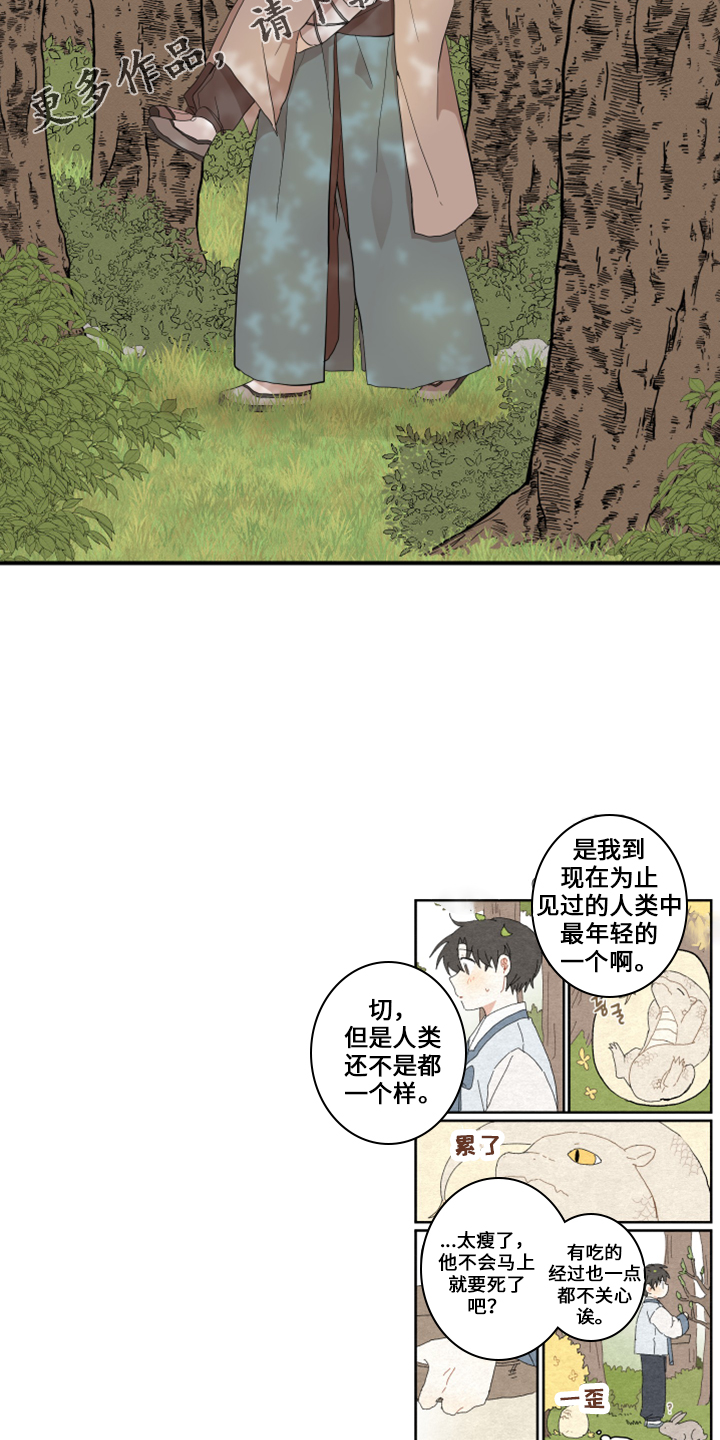 《砚与龙》漫画最新章节第48章：想吐免费下拉式在线观看章节第【2】张图片