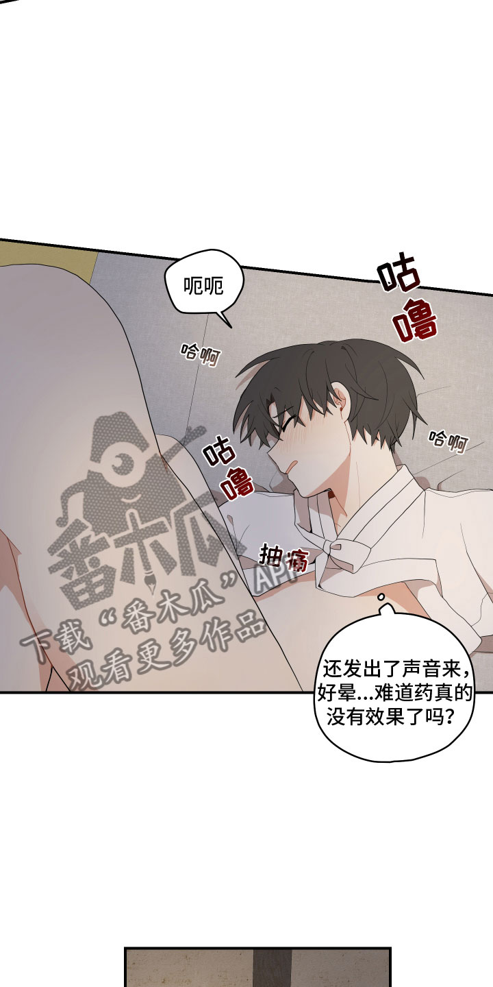 《砚与龙》漫画最新章节第52章：不要免费下拉式在线观看章节第【5】张图片