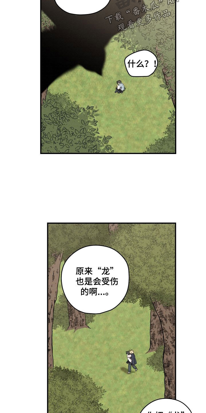 《砚与龙》漫画最新章节第62章：【第二季】担心免费下拉式在线观看章节第【10】张图片