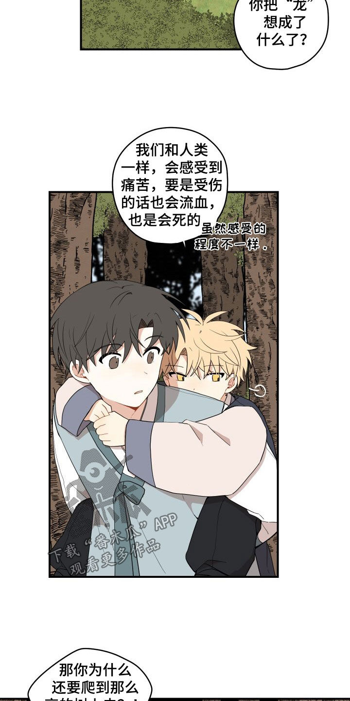 《砚与龙》漫画最新章节第62章：【第二季】担心免费下拉式在线观看章节第【9】张图片