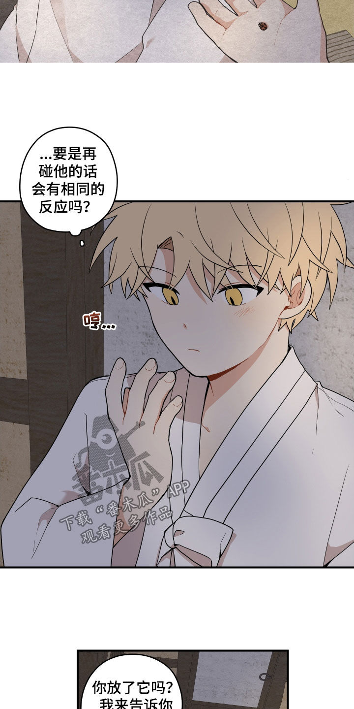 《砚与龙》漫画最新章节第64章：【第二季】叠衣服免费下拉式在线观看章节第【5】张图片