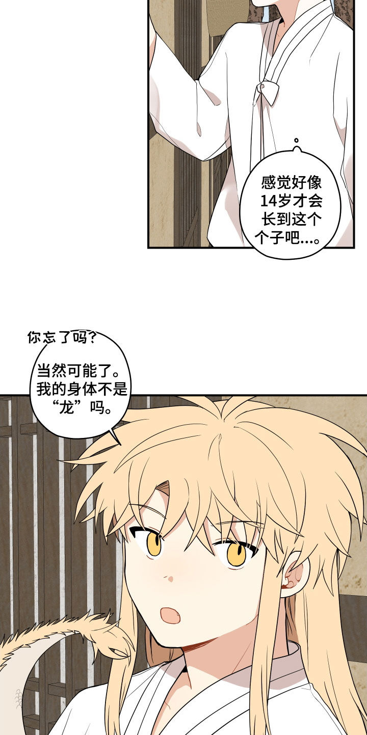 《砚与龙》漫画最新章节第65章：【第二季】不要碰我免费下拉式在线观看章节第【5】张图片