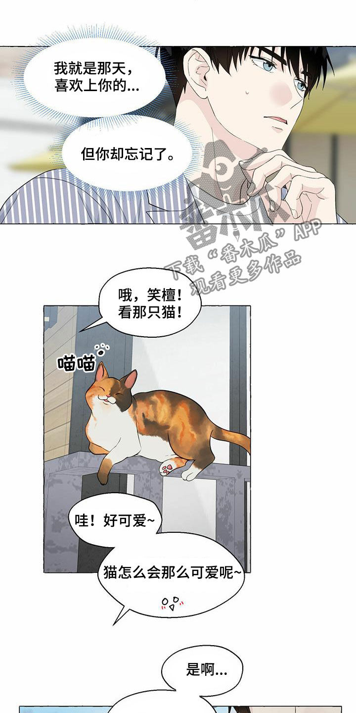 《香草搭档》漫画最新章节第81章：耍赖免费下拉式在线观看章节第【3】张图片