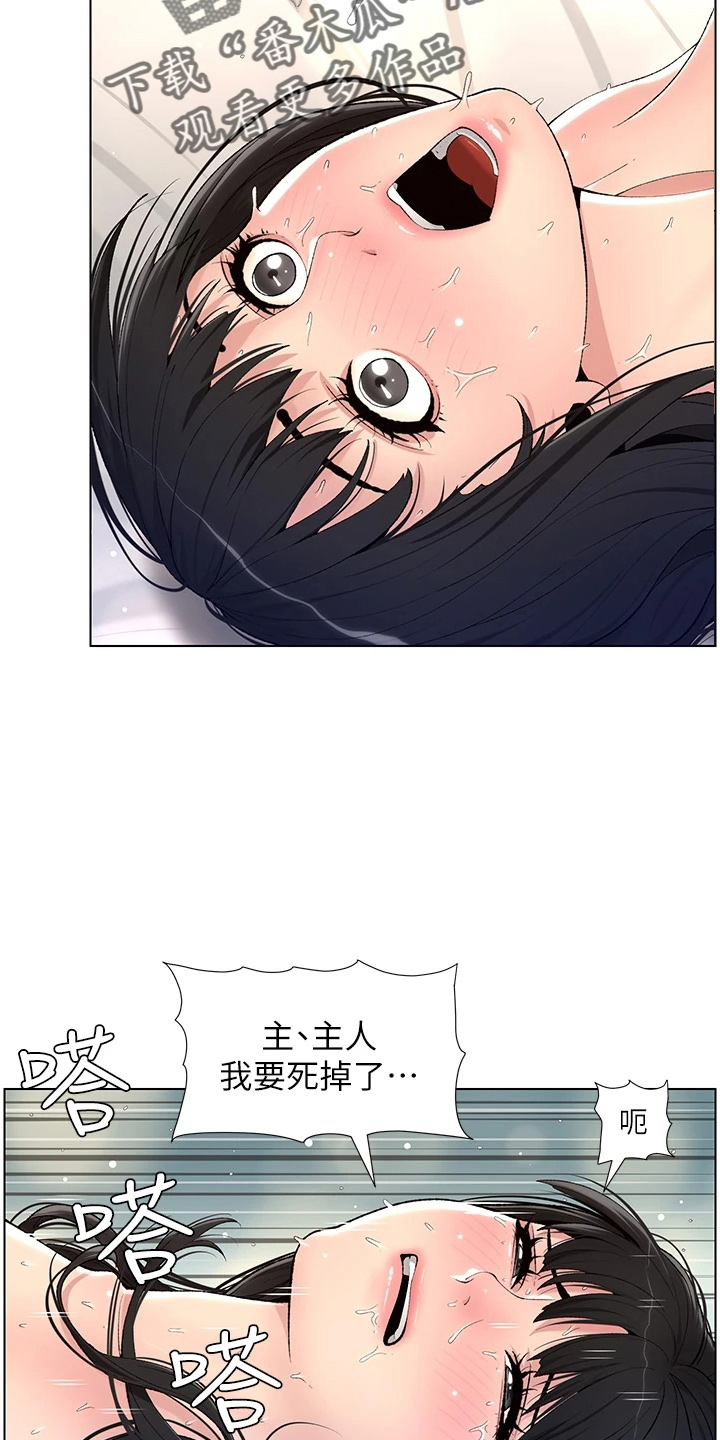 《帝王软件》漫画最新章节第21章：凶恶免费下拉式在线观看章节第【11】张图片