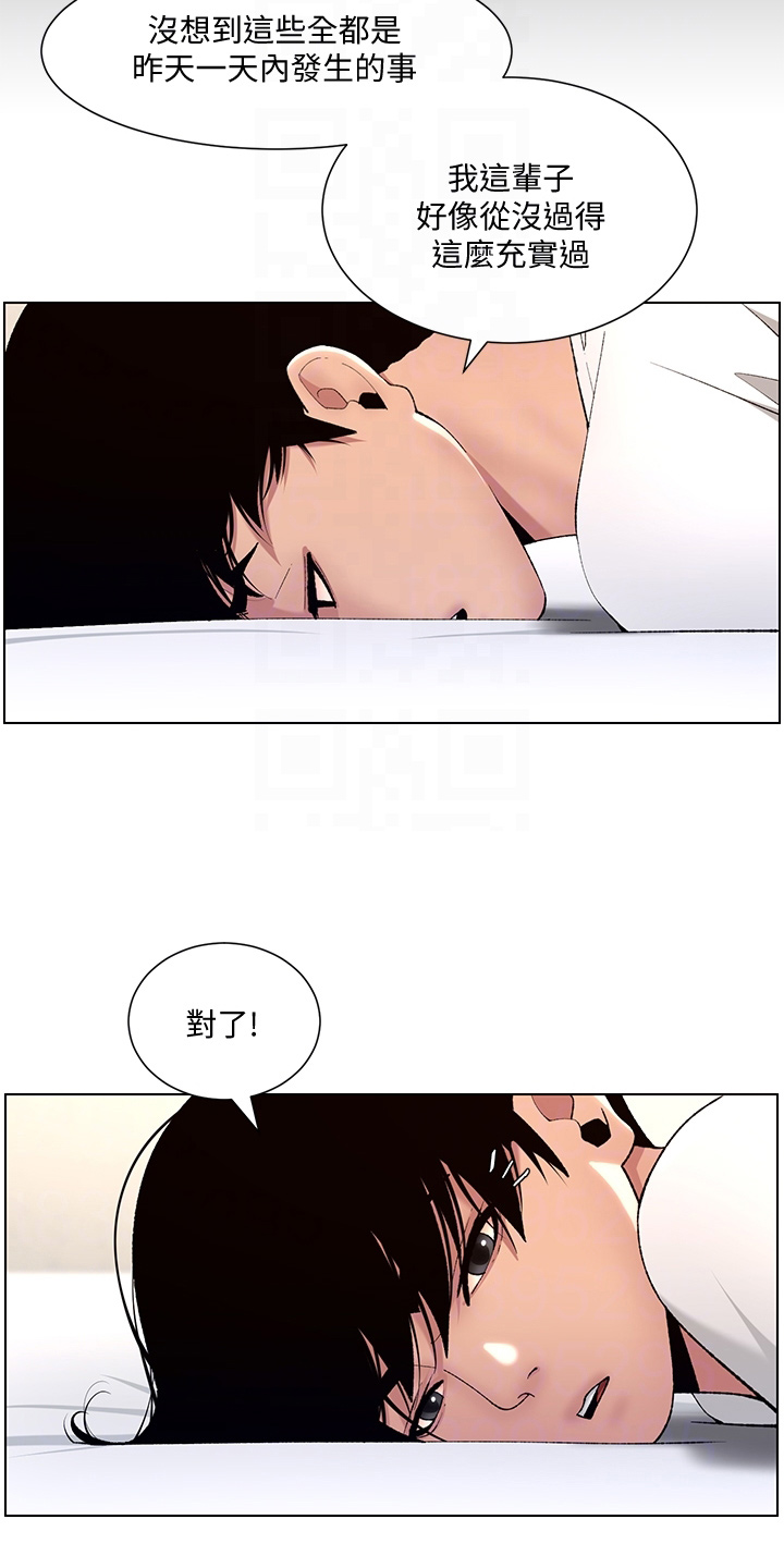 《帝王软件》漫画最新章节第23章：查看免费下拉式在线观看章节第【18】张图片