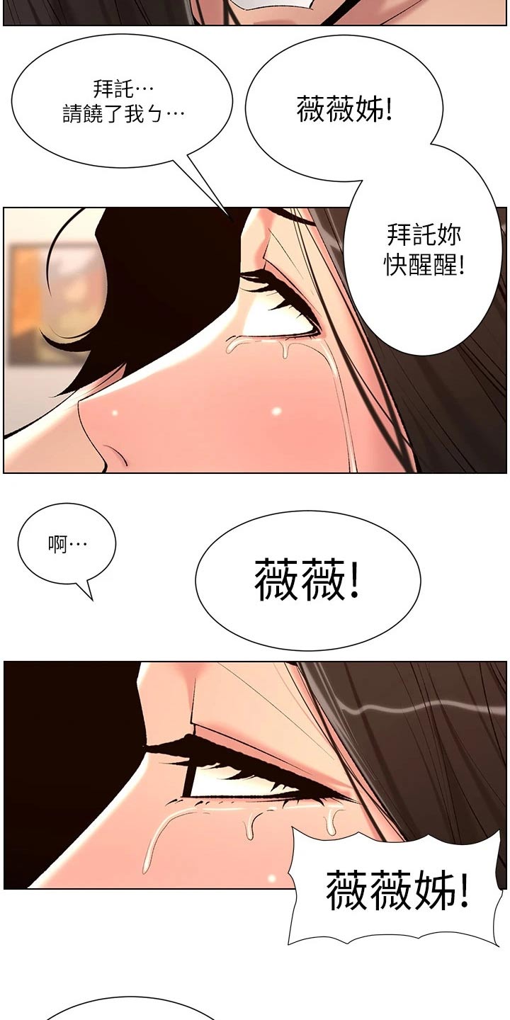 《帝王软件》漫画最新章节第39章：阴影免费下拉式在线观看章节第【14】张图片