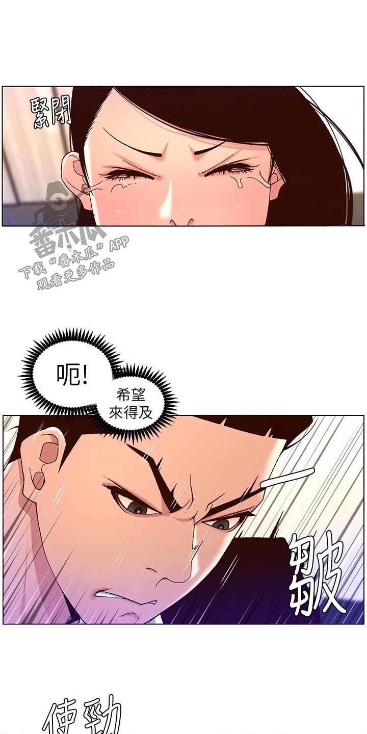 《帝王软件》漫画最新章节第73章：调查免费下拉式在线观看章节第【3】张图片