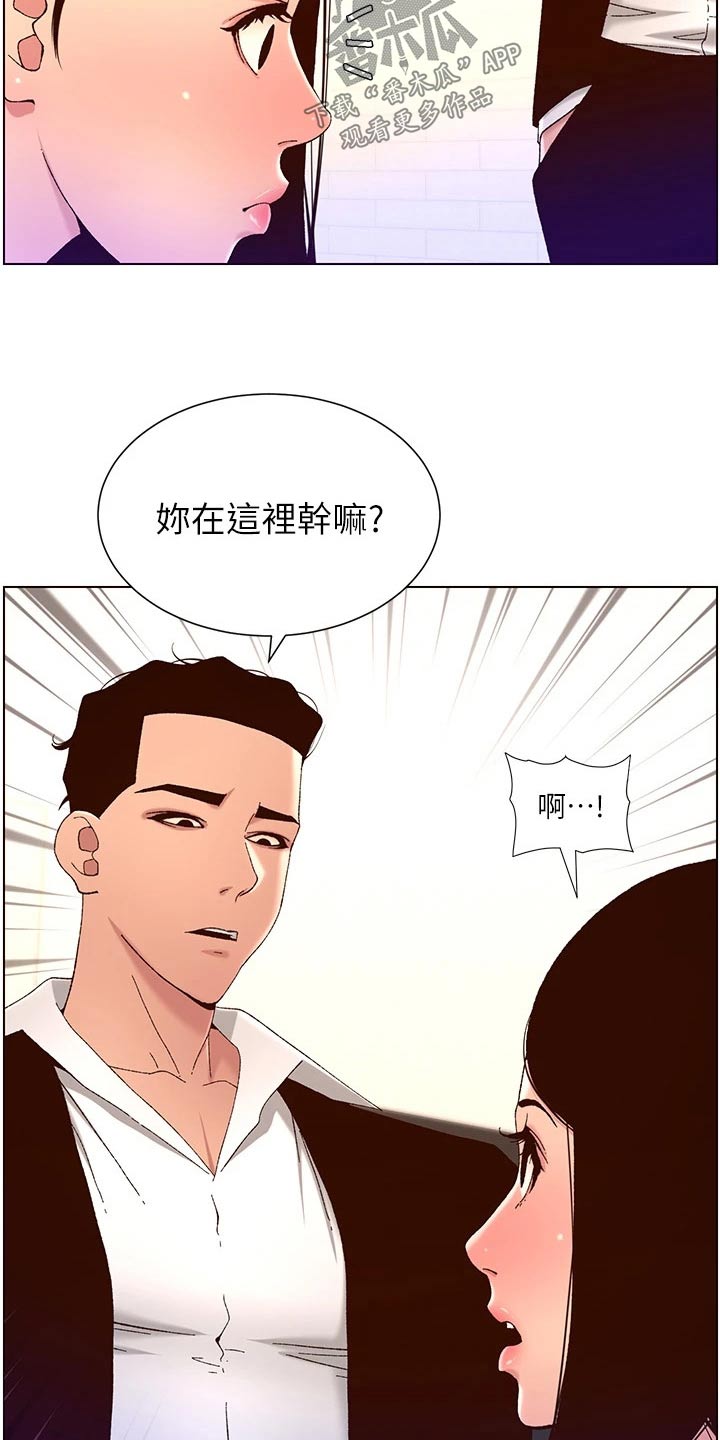 《帝王软件》漫画最新章节第73章：调查免费下拉式在线观看章节第【8】张图片