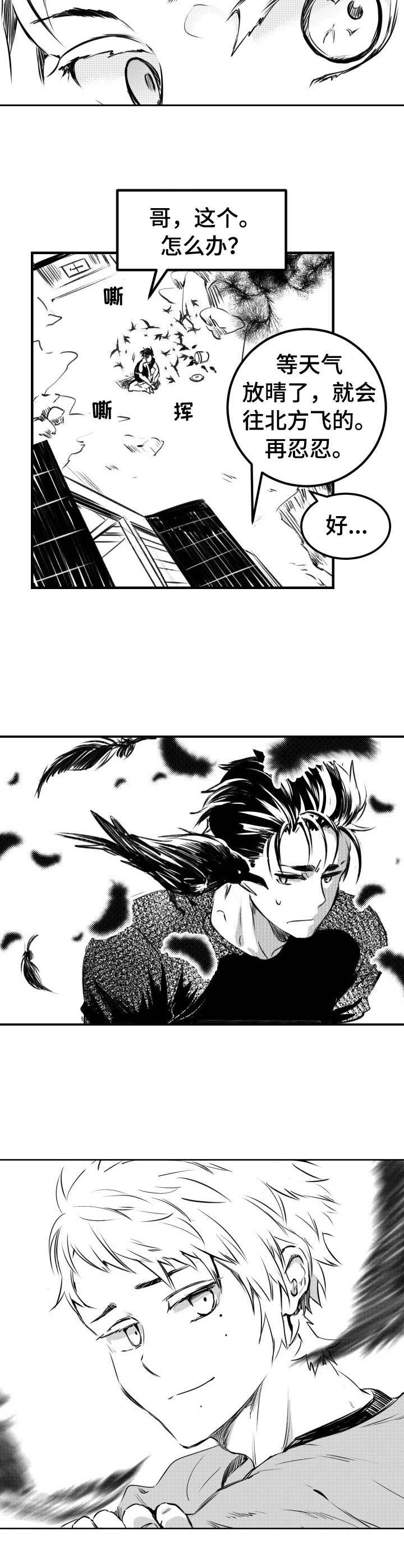 《冬季往事》漫画最新章节第43章：乌鸦群免费下拉式在线观看章节第【2】张图片