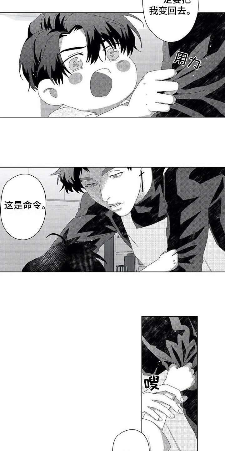 《导演你在哪》漫画最新章节第6章：很可爱免费下拉式在线观看章节第【5】张图片